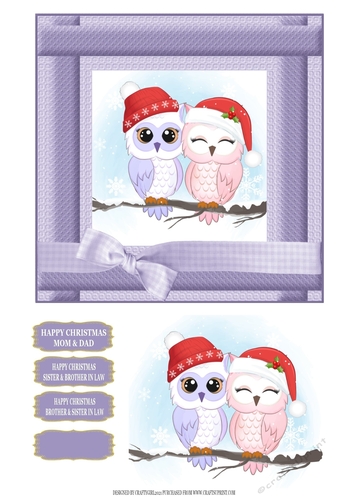 CUTE OWL COUPLE CHRISTMAS