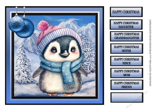CUTE PENGUIN IN A WOOLLY HAT 2