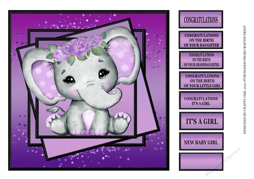 CUTE ELEPHANT NEW BABY GIRL - PURPLE