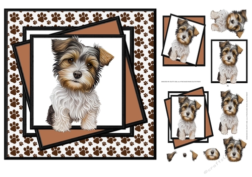 SWEET DOGGY BIRTHDAY KIT