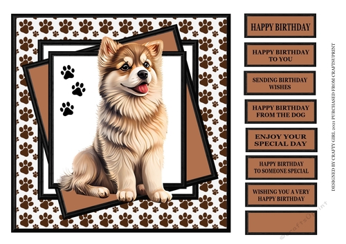 SWEET DOGGY BIRTHDAY 4