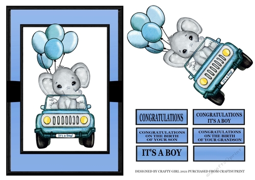 A5 ELEPHANT IN A CAR NEW BABY BOY