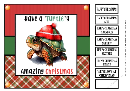 TURTLEY AMAZING CHRISTMAS