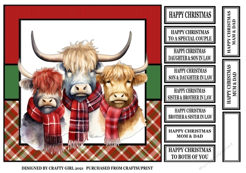 CHRISTMAS HIGHLAND COWS 2