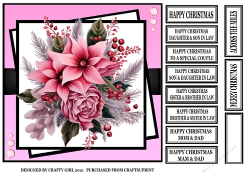 PINK POINSETTIA