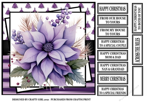 PURPLE POINSETTIA