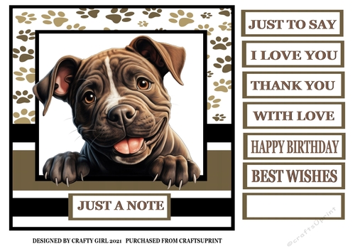 JUST A NOTE -  STAFFORDSHIRE BULL TERRIER