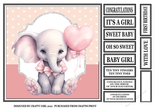 NEW BABY GIRL ELEPHANT