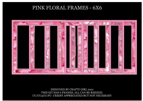 PINK FLORAL FRAMES - 6X6