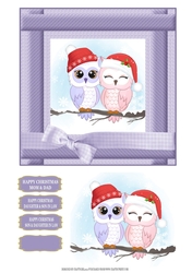 CUTE OWL COUPLE CHRISTMAS
