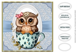 OWL IN TEACUP