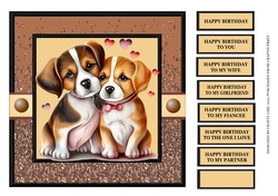 CUTE DOGGY COUPLE