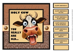 HOLY COW - YOU REALLY ARE OLD
