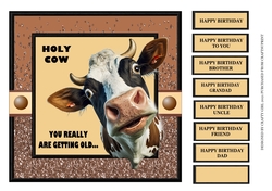 HOLY COW - YOU REALLY ARE GETTING OLD