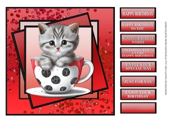CUTE KITTY IN A CUP