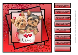 YORKSHIRE TERRIER COUPLE 2