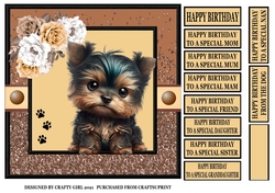 YORKSHIRE TERRIER