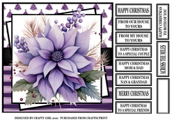 PURPLE POINSETTIA
