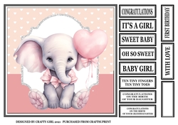 NEW BABY GIRL ELEPHANT