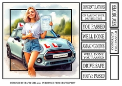 NEW DRIVER - FEMALE 2