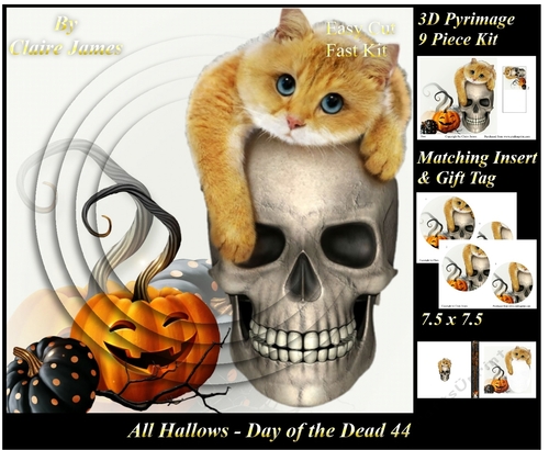 All Hallows Eve - The Day Of The Dead 44 - Pyrimage/Pyramid + Insert & Tag