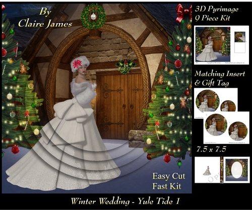Winter Wedding - Yule Tide 1 - 3D Pyramid/pyramid + Matching Insert & Tag 