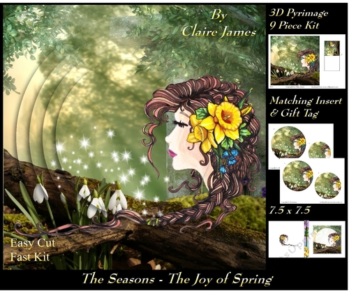 The Seasons - The Joy of Spring - 3D Pyramid/pyramid + Matching Insert & Tag 