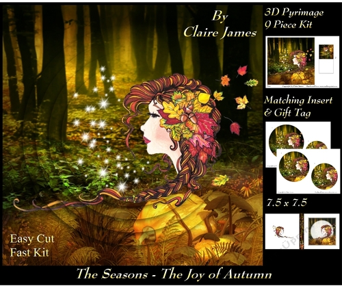 The Seasons - The Joy of Autumn - 3D Pyramid/pyramid + Matching Insert & Tag 