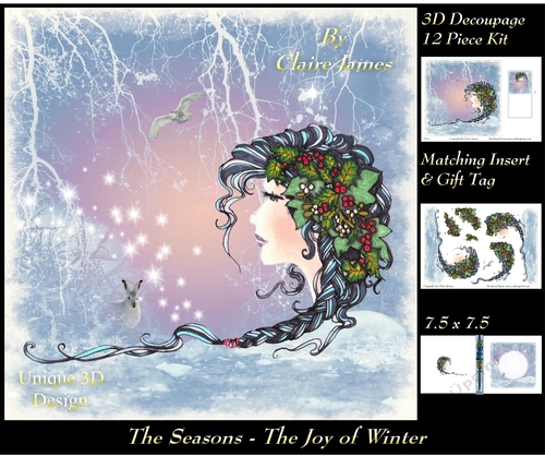 The Seasons - The Joy of Winter - 3D Decoupage + Matching Insert & Tag 