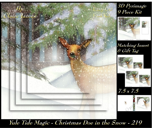 Yule Tide Magic 218 - Riding Though The Snow - 3D Pyramid/pyrimage + Insert & Gift Tag