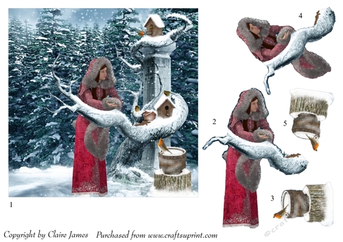 One Sheet Wonders - Feeding the Robin Family - Easy Cut - 3D Decoupage + Insert & Tag