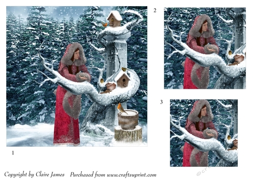 One Sheet Wonders - Feeding the Robin Family - Easy Cut - 3D Pyramid/pyrimage