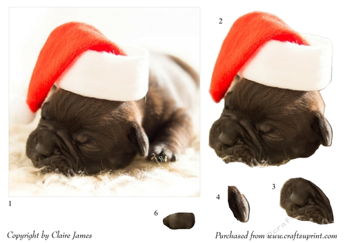 One Sheet Wonders - Christmas Pug - Easy Cut - 3D Decoupage + Insert & Tag