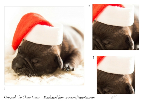 One Sheet Wonders - Christmas Pug - Easy Cut - 3D Pyramid/pyrimage
