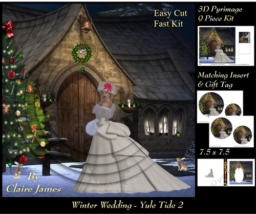 Winter Wedding - Yule Tide 2 - 3D Pyramid/pyramid + Matching Insert & Tag 
