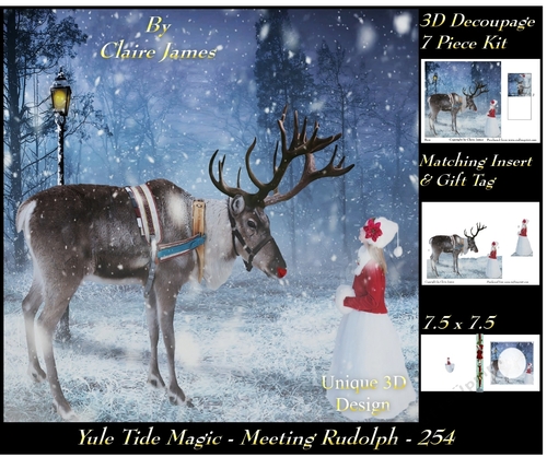 Yule Tide Magic 254 - Meeting Rudolph - 3D Decoupage + Insert & Tag