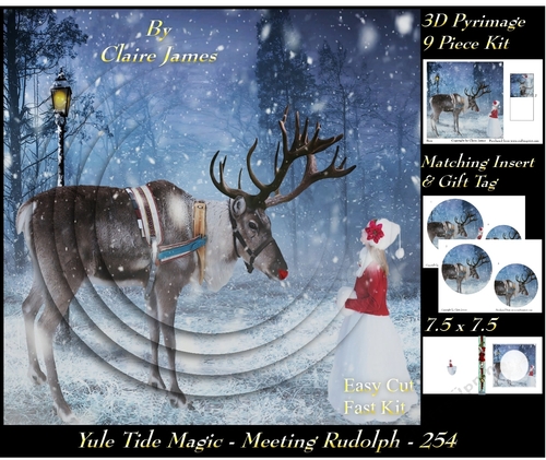 Yule Tide Magic 254 - Meeting Rudolph - 3D Pyramid/pyrimage + Insert & Gift Tag