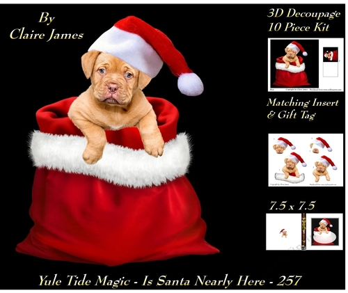 Yule Tide Magic 257 - Santas Nearly Here - 3D Decoupage + Insert & Tag