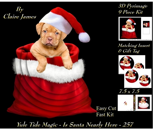 Yule Tide Magic 257 - Santas Nearly Here - 3D Pyramid/pyrimage + Insert & Gift Tag