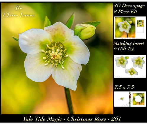 Yule Tide Magic 261 - Christmas Rose - 3D Decoupage kit + Insert & Gift Tag