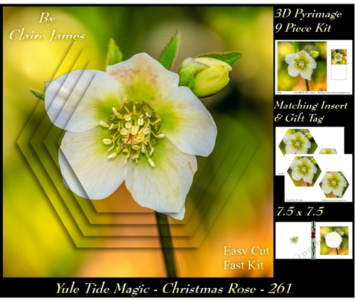 Yule Tide Magic 261 - Christmas Rose - 3D Pyramid/pyrimage + Insert & Gift Tag