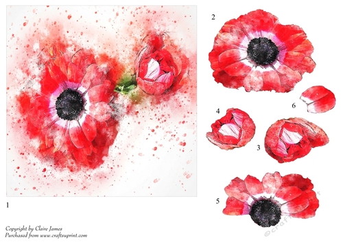 One Sheet Wonders - Water Colour Magic - Anemone - Easy Cut - 3D Decoupage