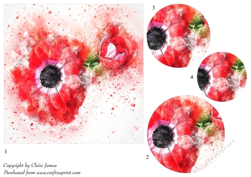 One Sheet Wonders - Water Colour Magic - Anemone - Easy Cut - 3D Pyramid/pyrimage