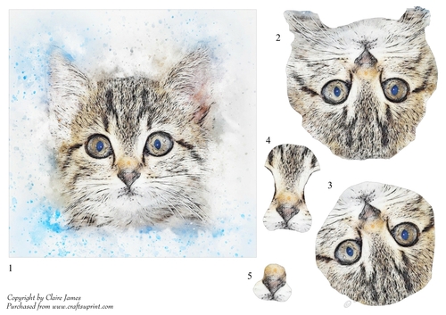 One Sheet Wonders - Water Colour Magic - Kitty Angel Surprise - Easy Cut - 3D Decoupage