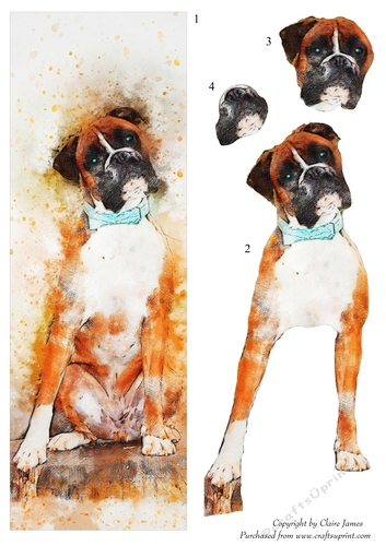 One Sheet Wonders - Water Colour Magic - Boxer - Easy Cut - 3D Decoupage