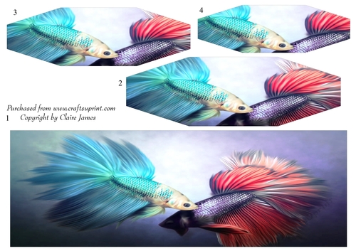 One Sheet Wonders - Water Colour Magic - Siamese Fish - Easy Cut - 3D Decoupage