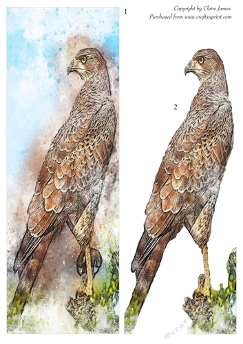 One Sheet Wonders - Water Colour Magic - Bird Of Prey - Easy Cut - 3D Decoupage