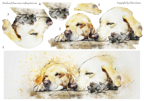 One Sheet Wonders - Water Colour Magic - Labrador Friends Forever - Easy Cut - 3D Decoupage