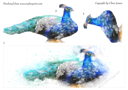 One Sheet Wonders - Water Colour Magic - Elegant Peacock - Easy Cut - 3D Decoupage