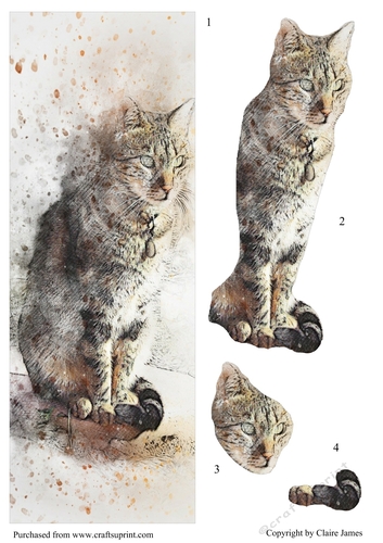 One Sheet Wonders - Water Colour Magic - Cat - Easy Cut - 3D Decoupage